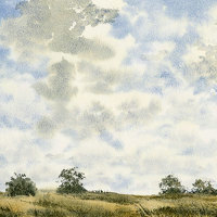 Effective Skies 01