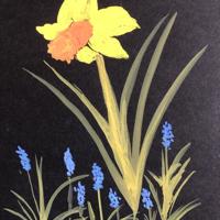 Daffodil (1)