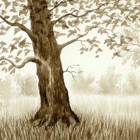 Effective Trees 02