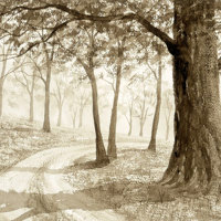 Effective Trees 03