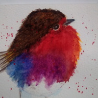 Robin (1)