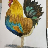 Cockerel