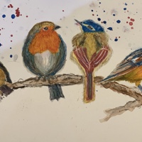 Songbirds